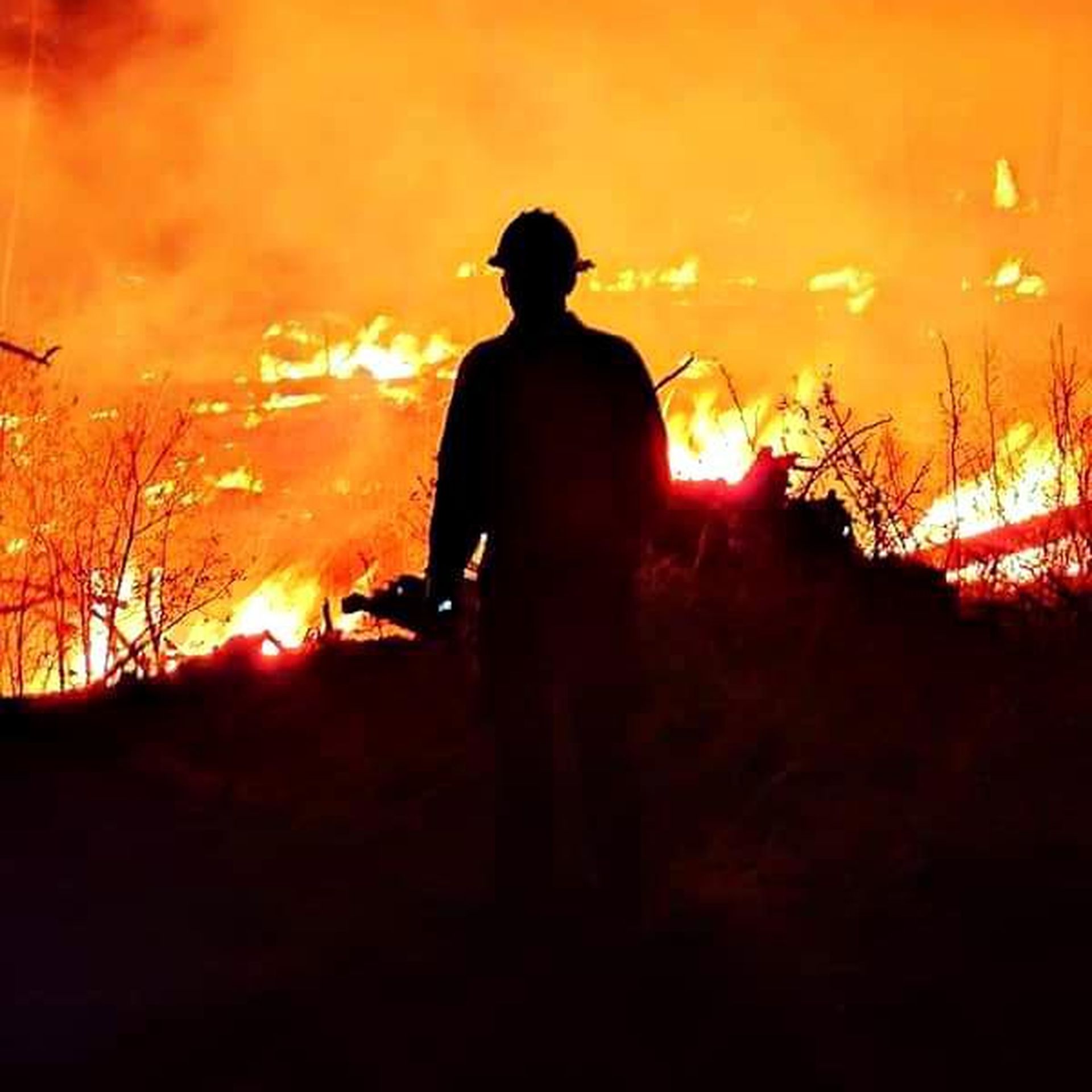 A firefight stands in front of a blaze that's part of the Cerro Pelado Fire