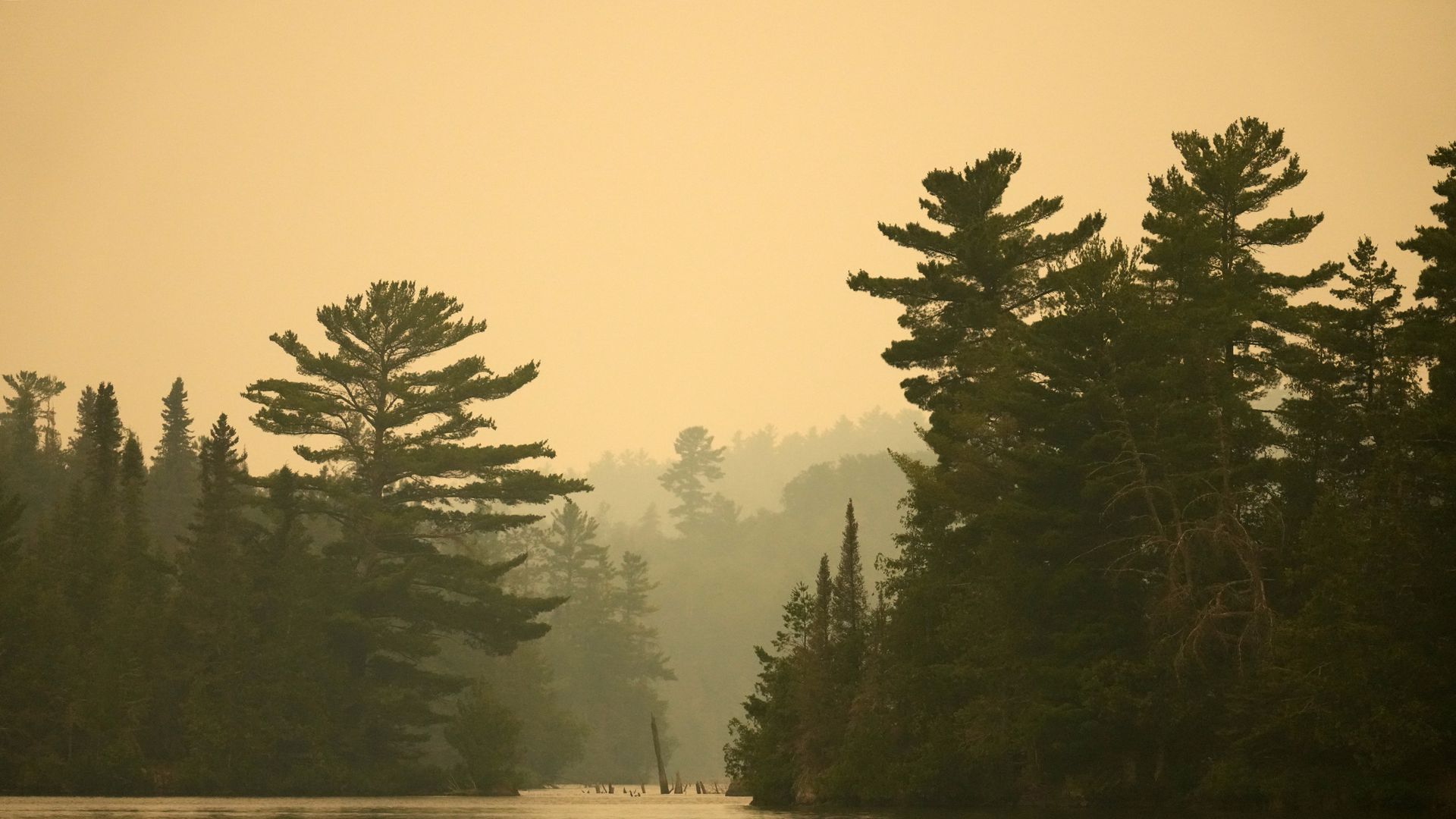 Hazy yellow skies over a lake with trees