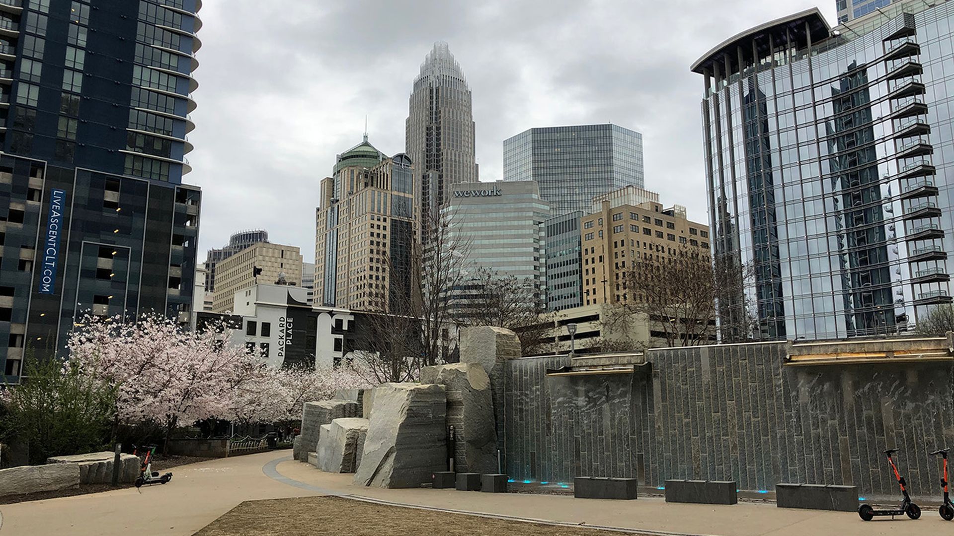Charlotte skyline