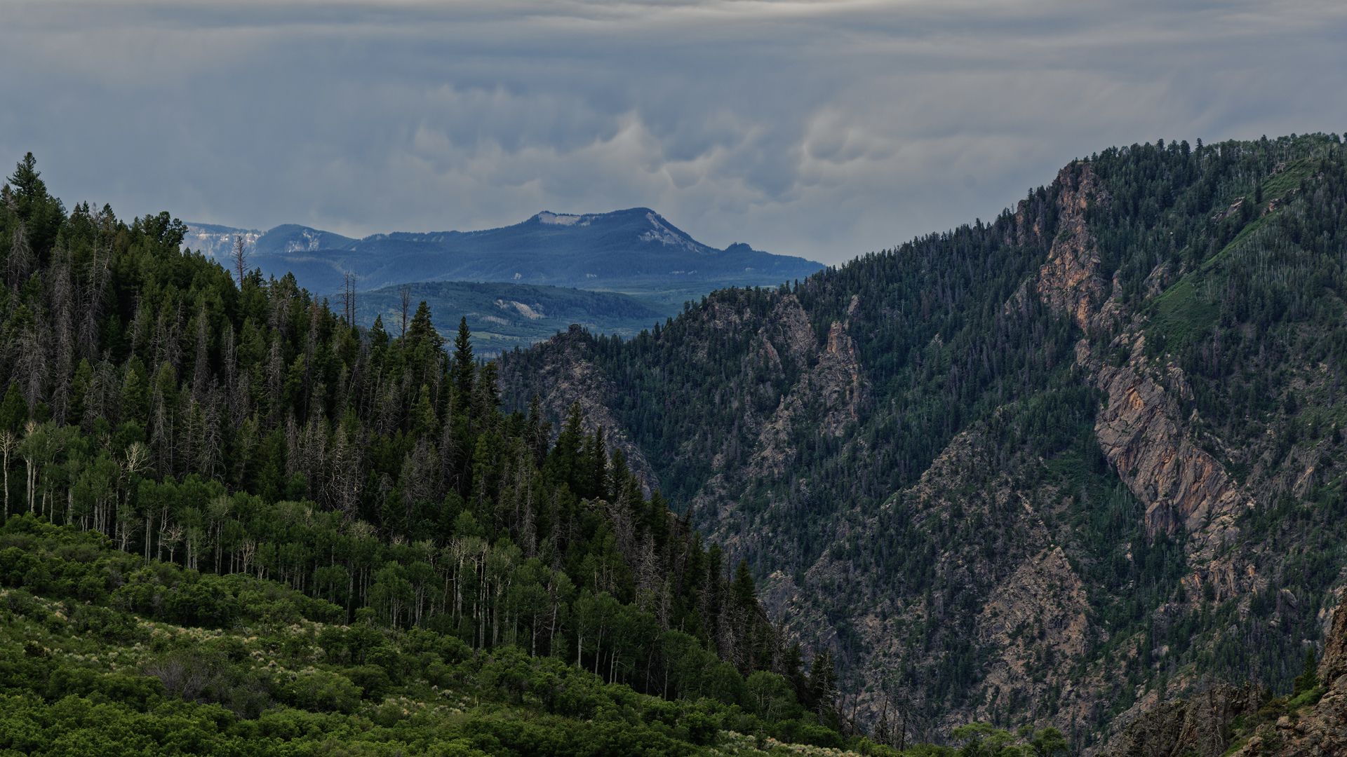 Gunnison National Forest. Photo: Mark C Stevens/Getty Images