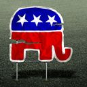 GOP angst over voter turnout builds as losses pile up