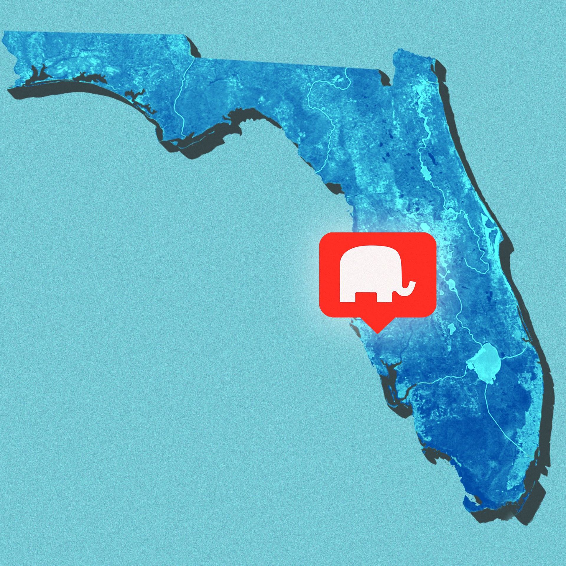 Illustration of a map of Florida, with a social media notifications icon with an elephant pinned on the map.