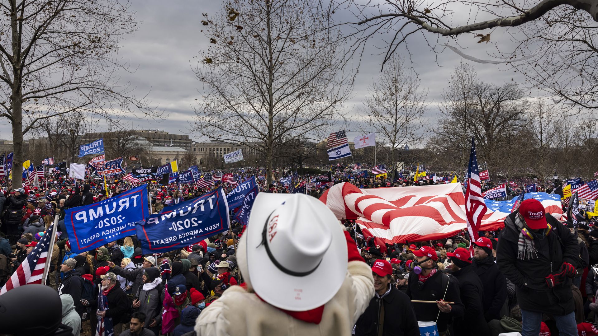 Photo of a crowd of Trump supporters waving signs and flags