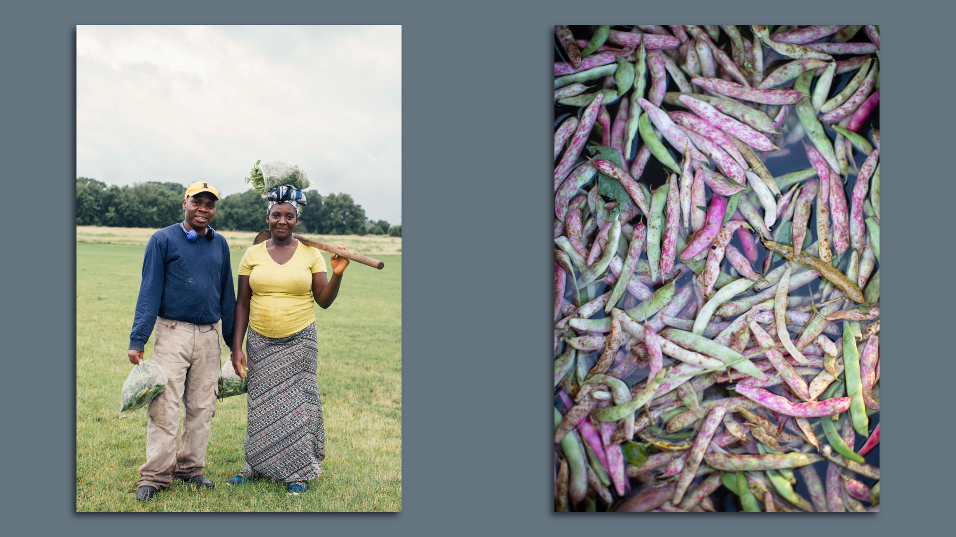 A photo of farmers.