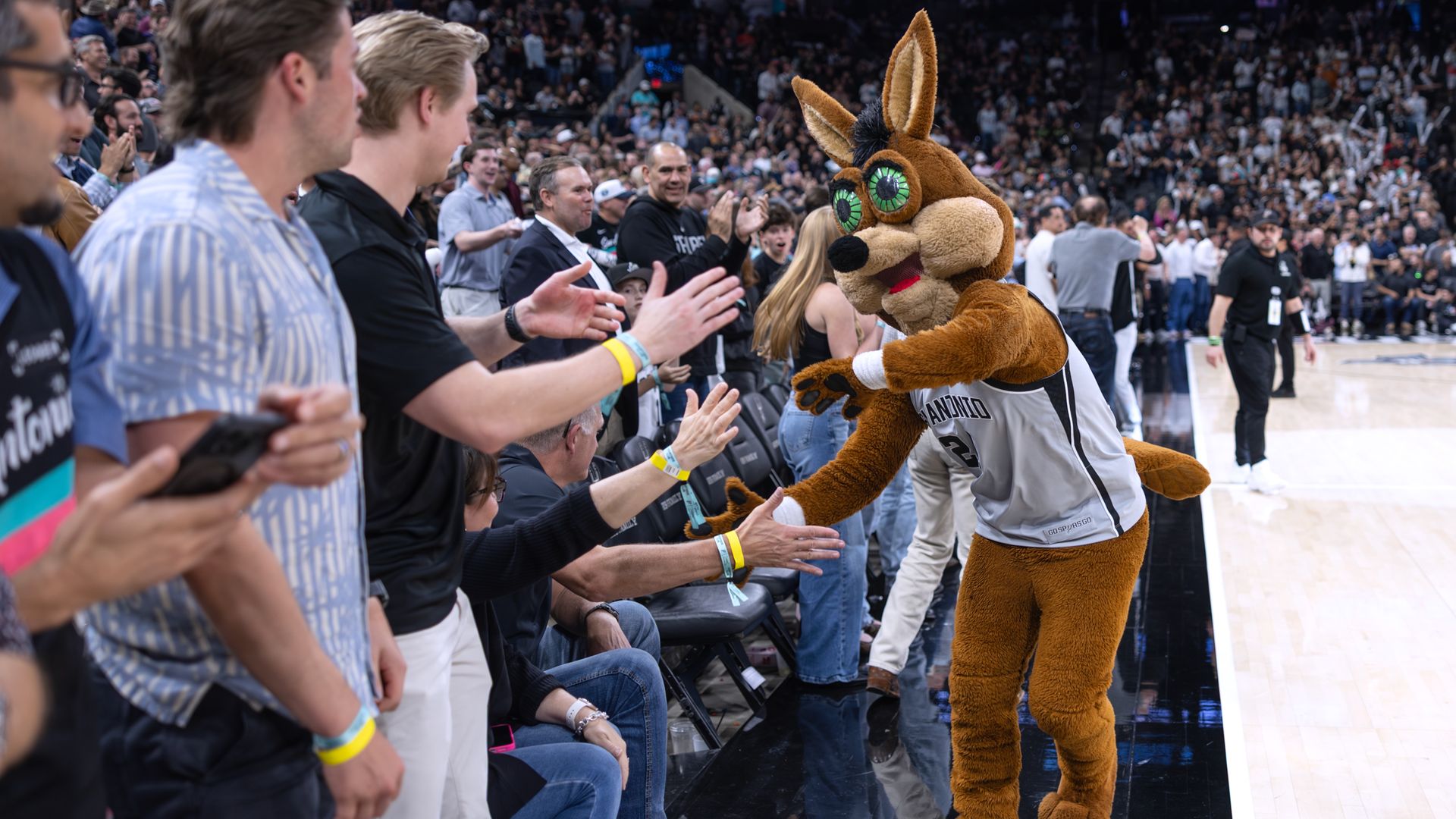 Basketball arena sideline: a brown rabbit mascot in a white jersey high-fives excited fans; crowded stands, players and staff near the court.