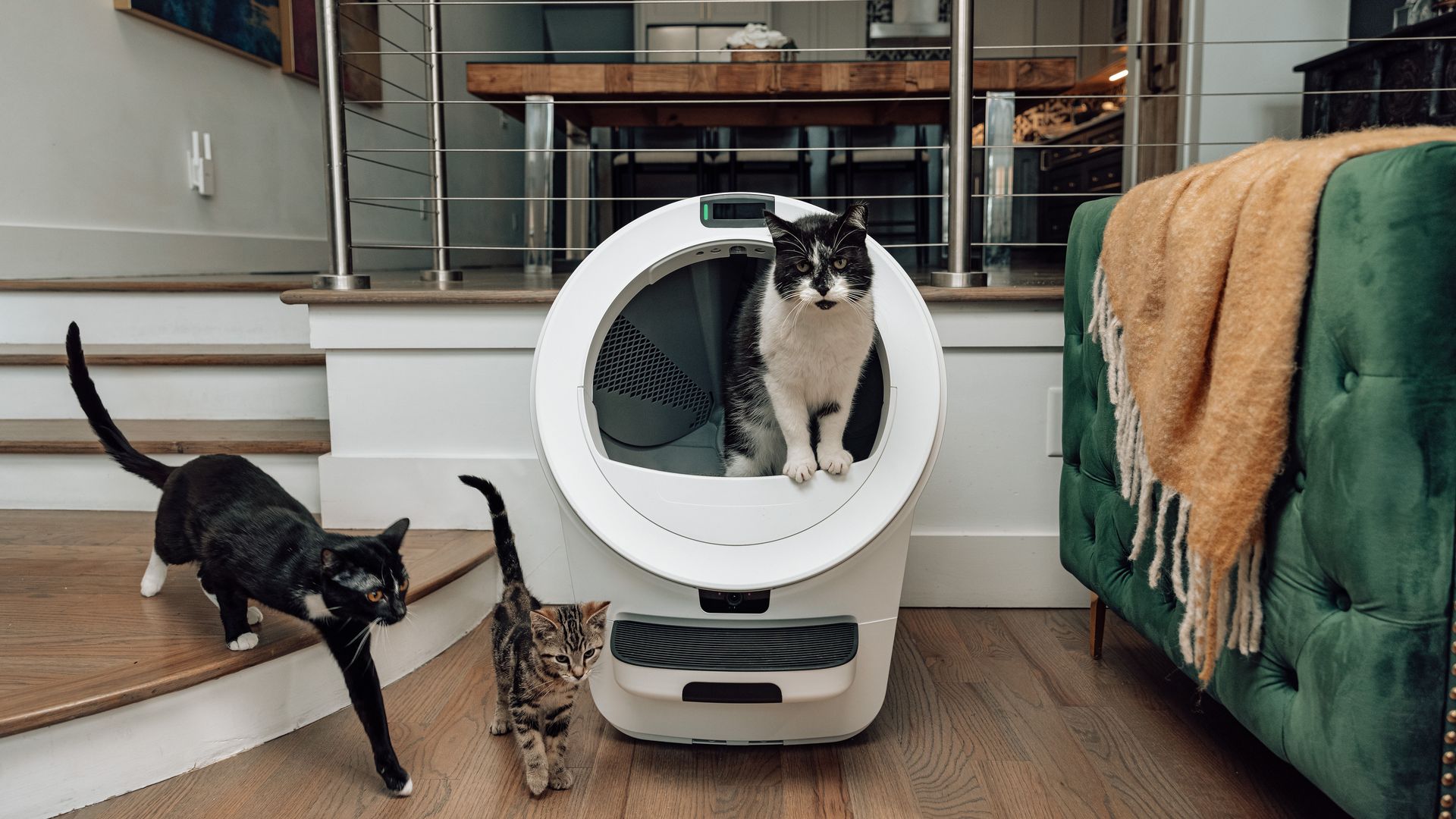 The Litter-Robot 5 Pro.