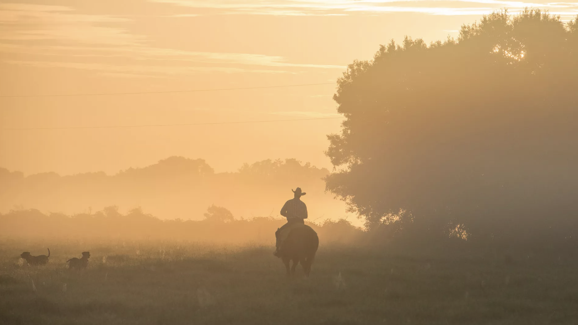 Photo of a man in a cowboy hat riding a horse in the sunrise.