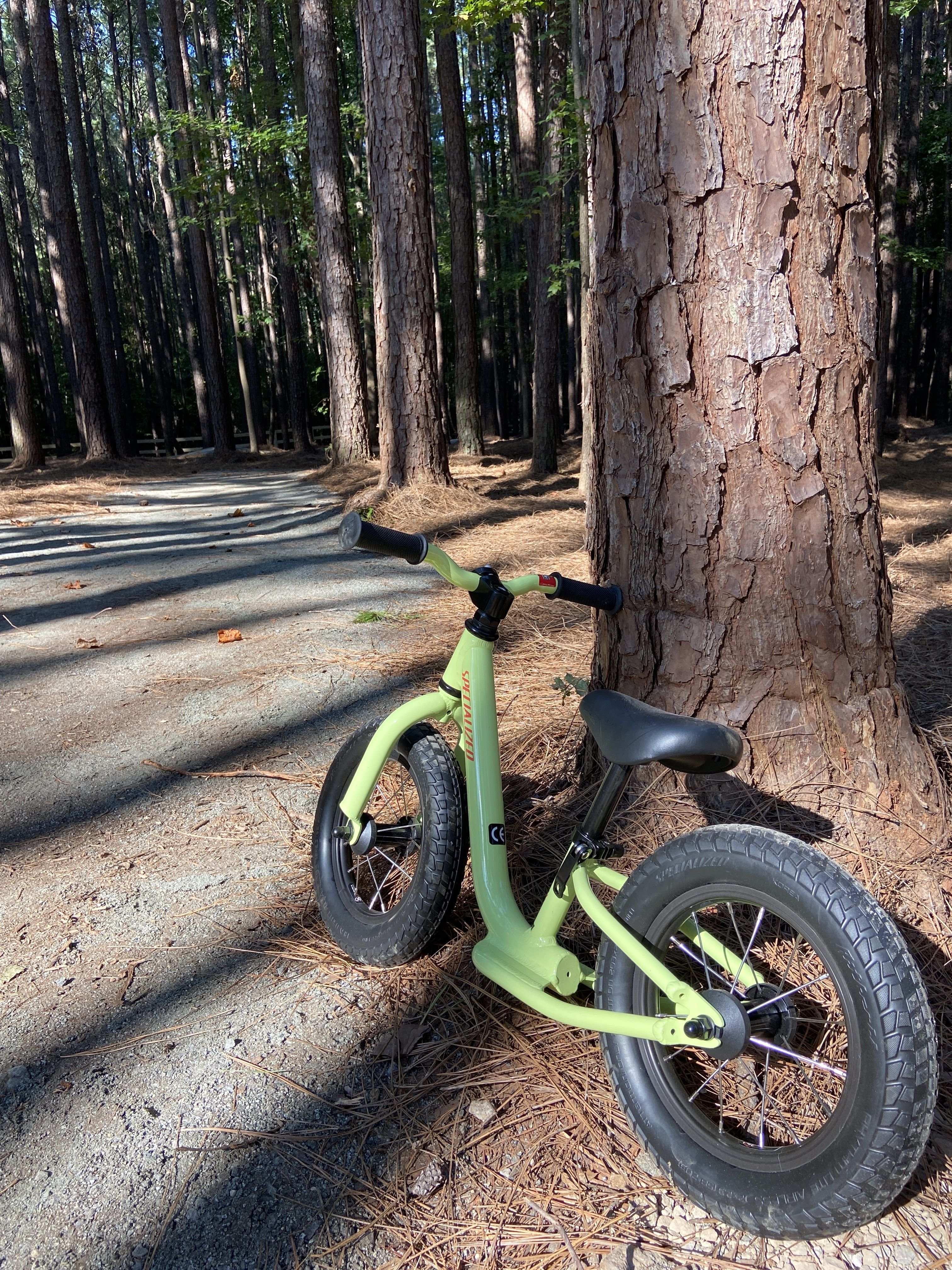 Balance bike at Wildwoods at the Whitewater Center. 