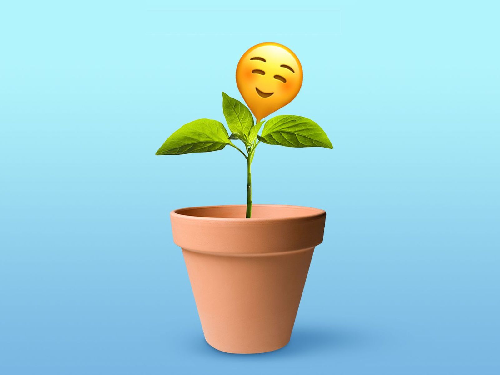 How plants make us happier and healthier