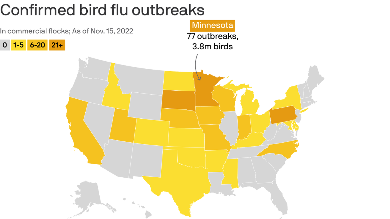 Widespread bird flu lingers and drives up food prices Axios NW Arkansas