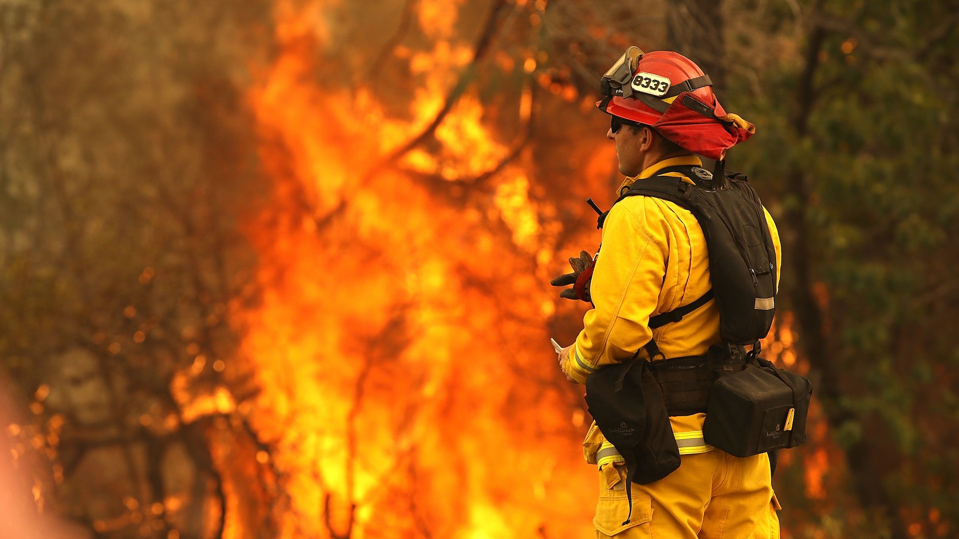 Firefighter battling the flames from the deadly Carr Fire in northern California.