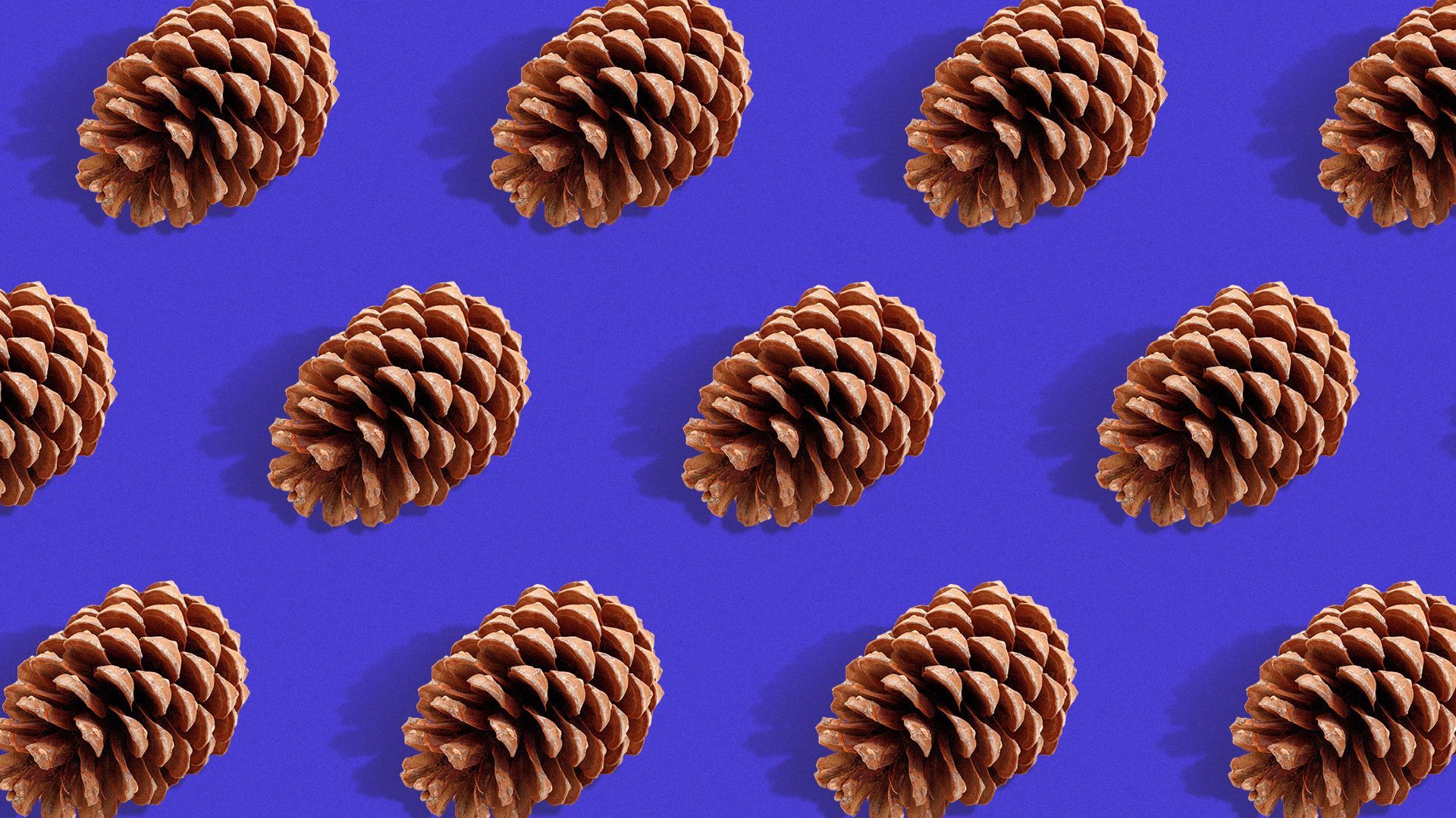 Illustration of a repeating pinecones pattern.