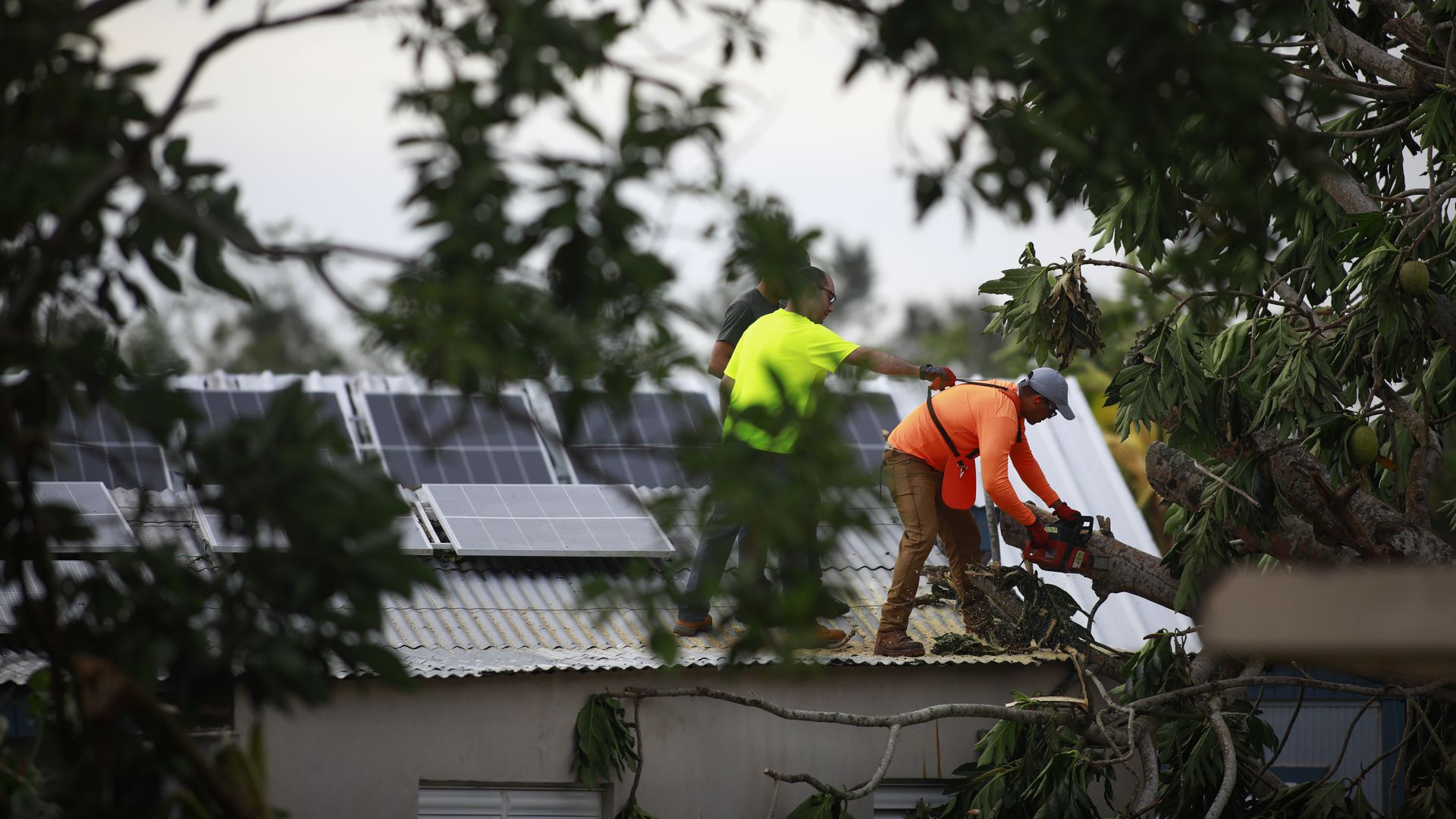 General view of an inundated Cooperative Rice Winter Nursery on Sept. 20  in Lajas, Puerto Rico. Photo: José Jimenez/Getty Images