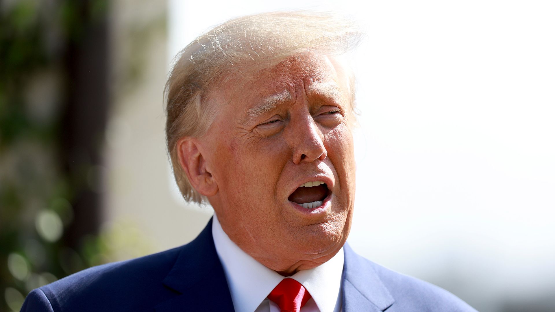 Former President Trump in Palm Beach, Florida, on Nov. 8.