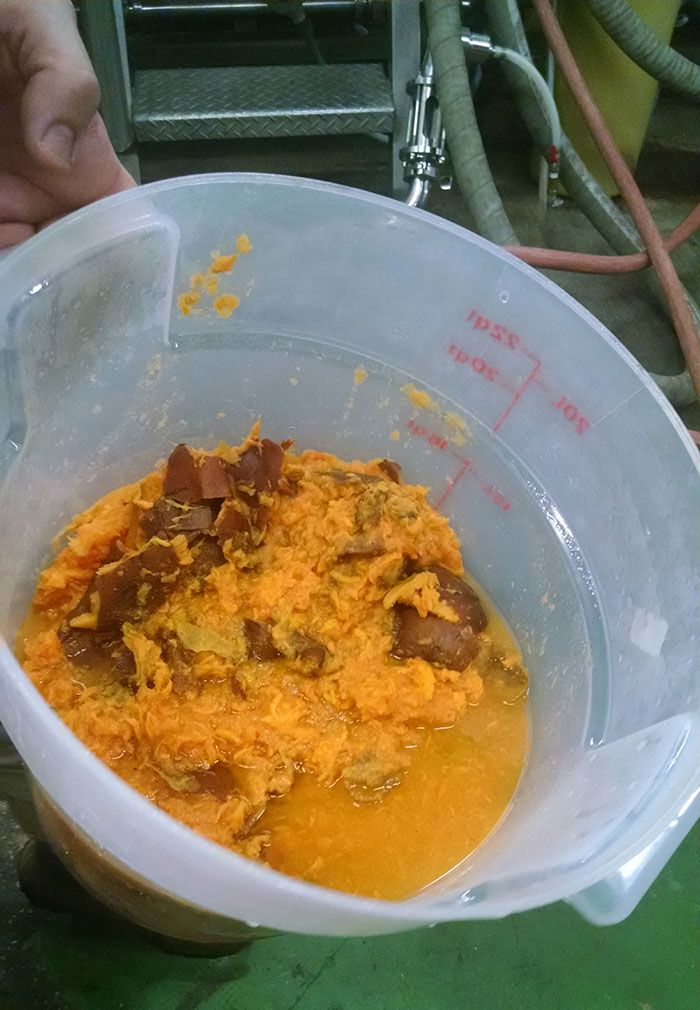 NC-sweet-potato