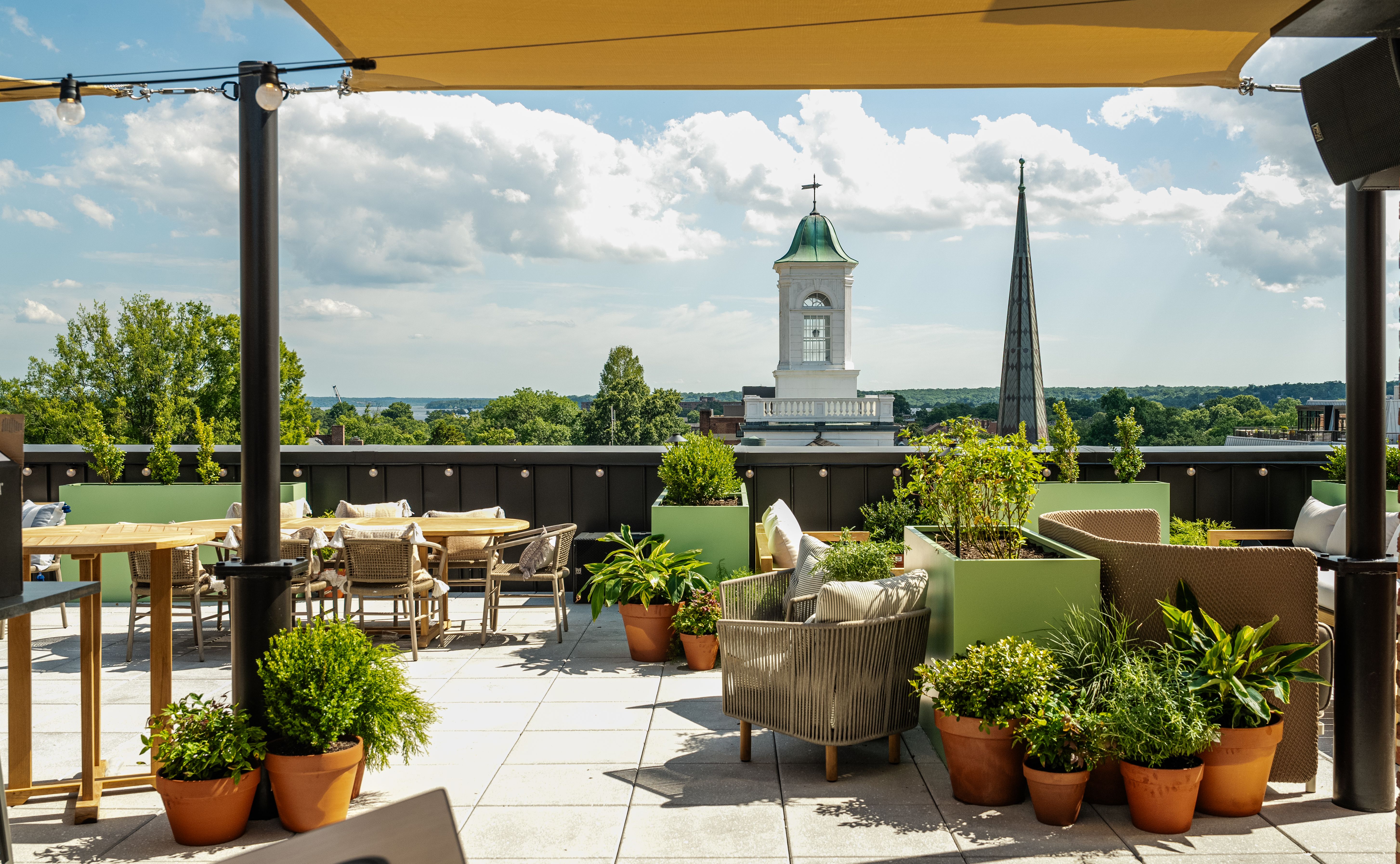 A rooftop bar filled with plants