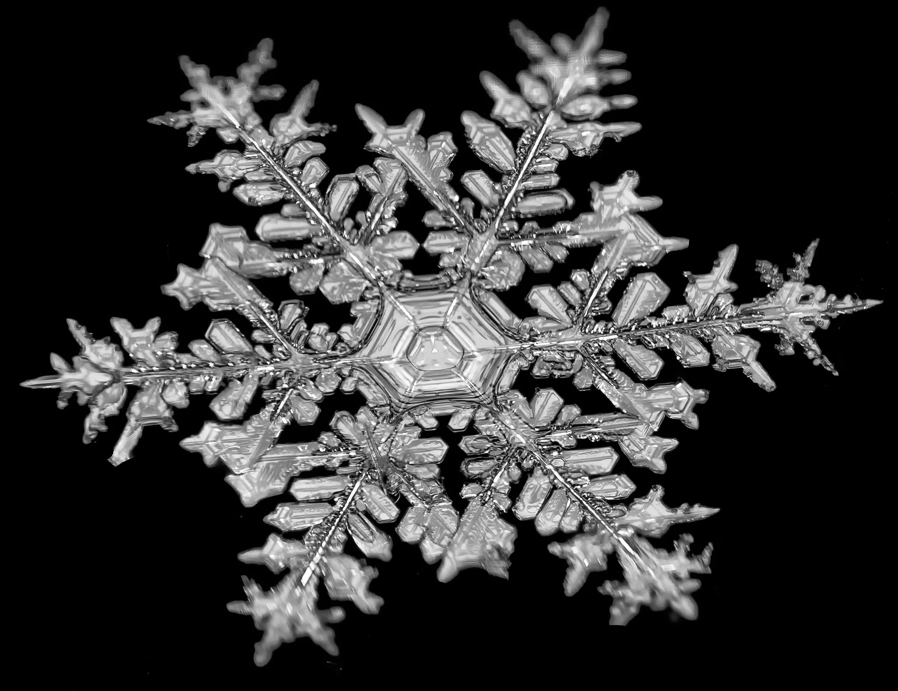 Colorado Doctor Jason Persoff Captures Close-up Photos Of Snowflakes ...