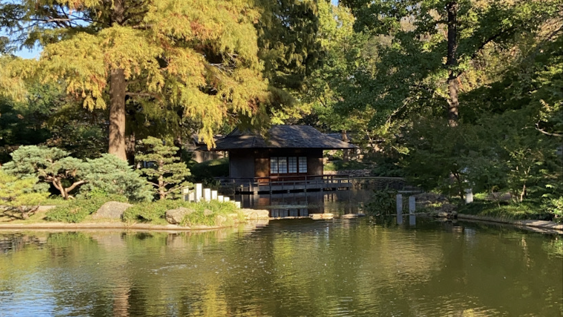 A body of water with a house in the back and trees all around