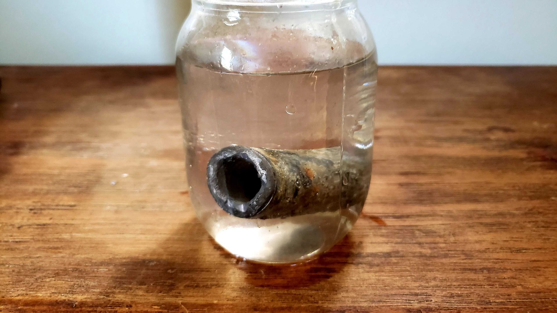 Photo of a lead pipe inside a water jar. 