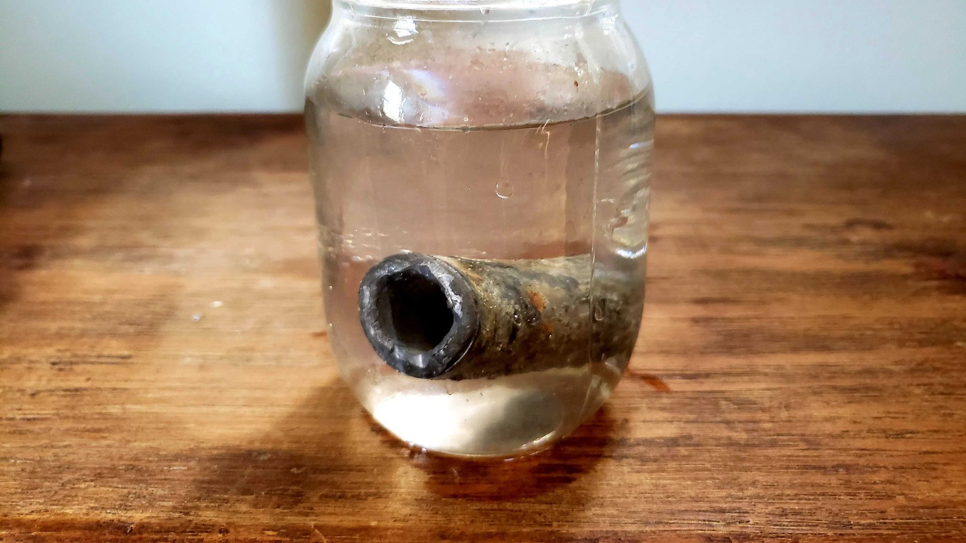 Photo of a lead pipe inside a water jar.