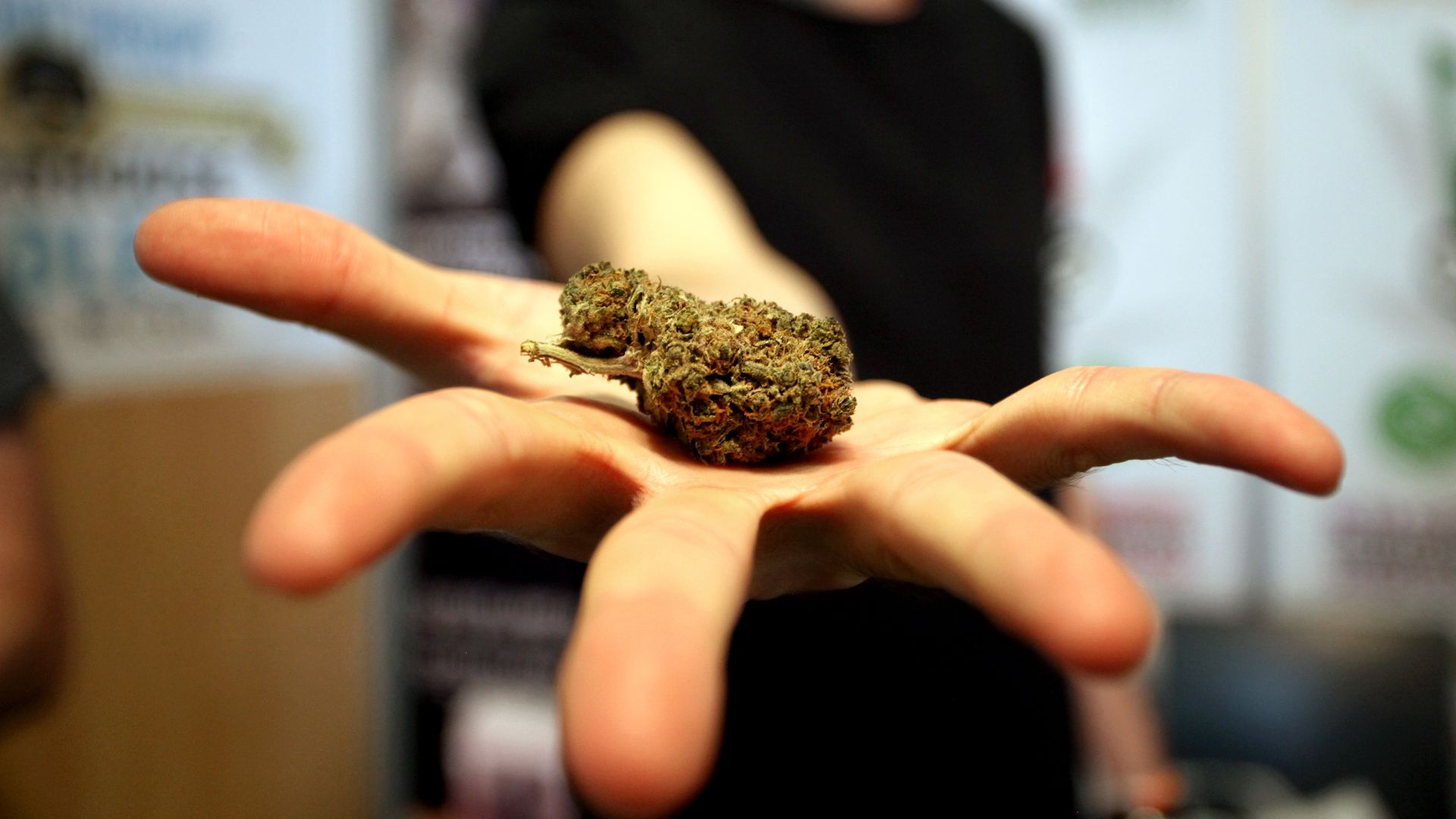 A man with an outstretched hand holding a nugget of marijuana.