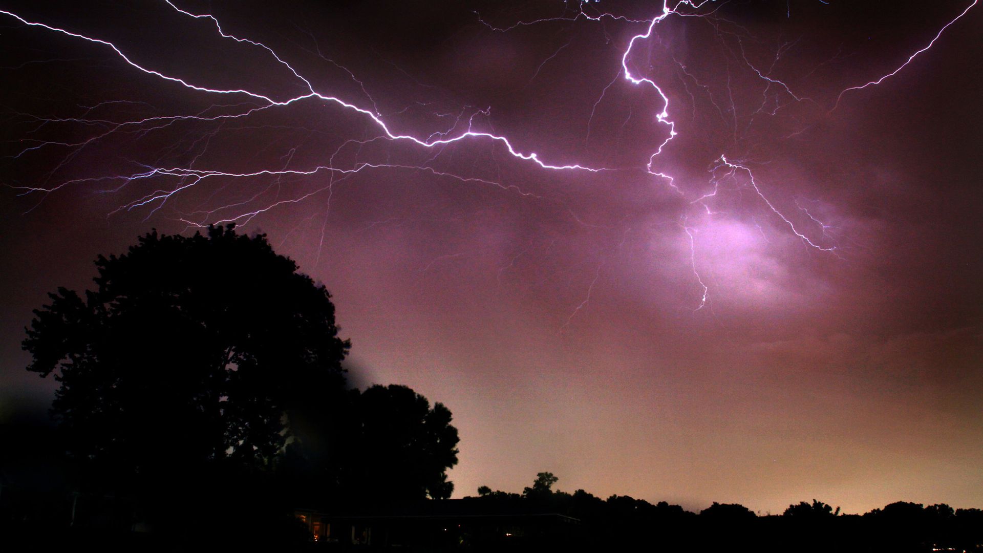 Dark night sky illuminated by jagged purple lightning bolts stretching across, with a silhouette of trees in the foreground and a faint pinkish glow along the horizon.