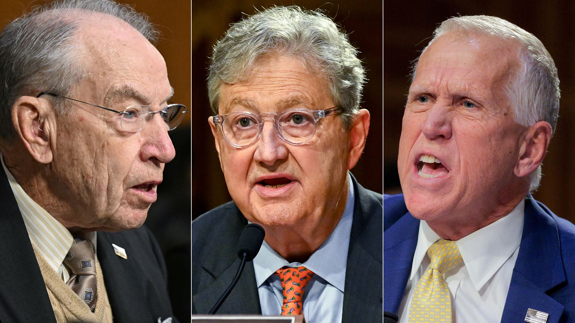 A collage of headshots of Grassley, Kennedy and Tillis