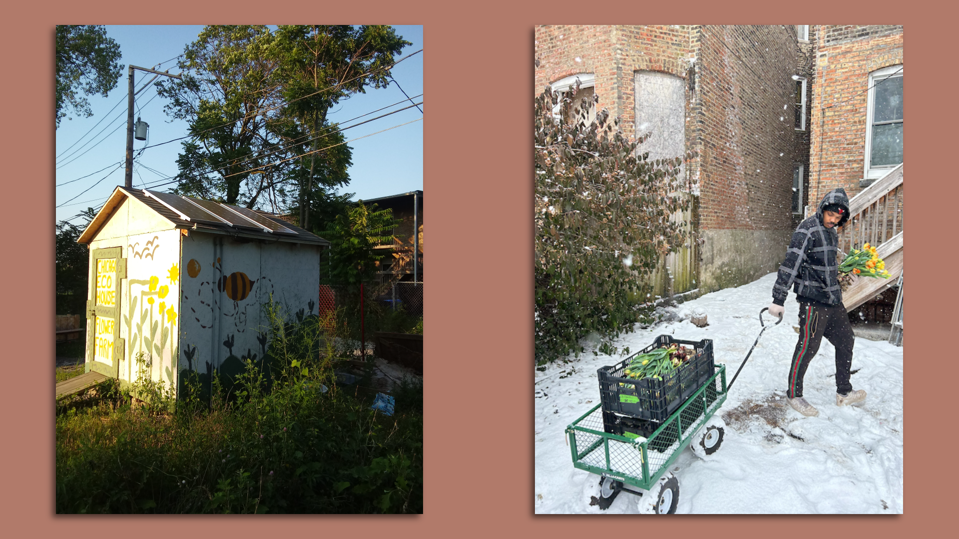 Flower house with solar panels
