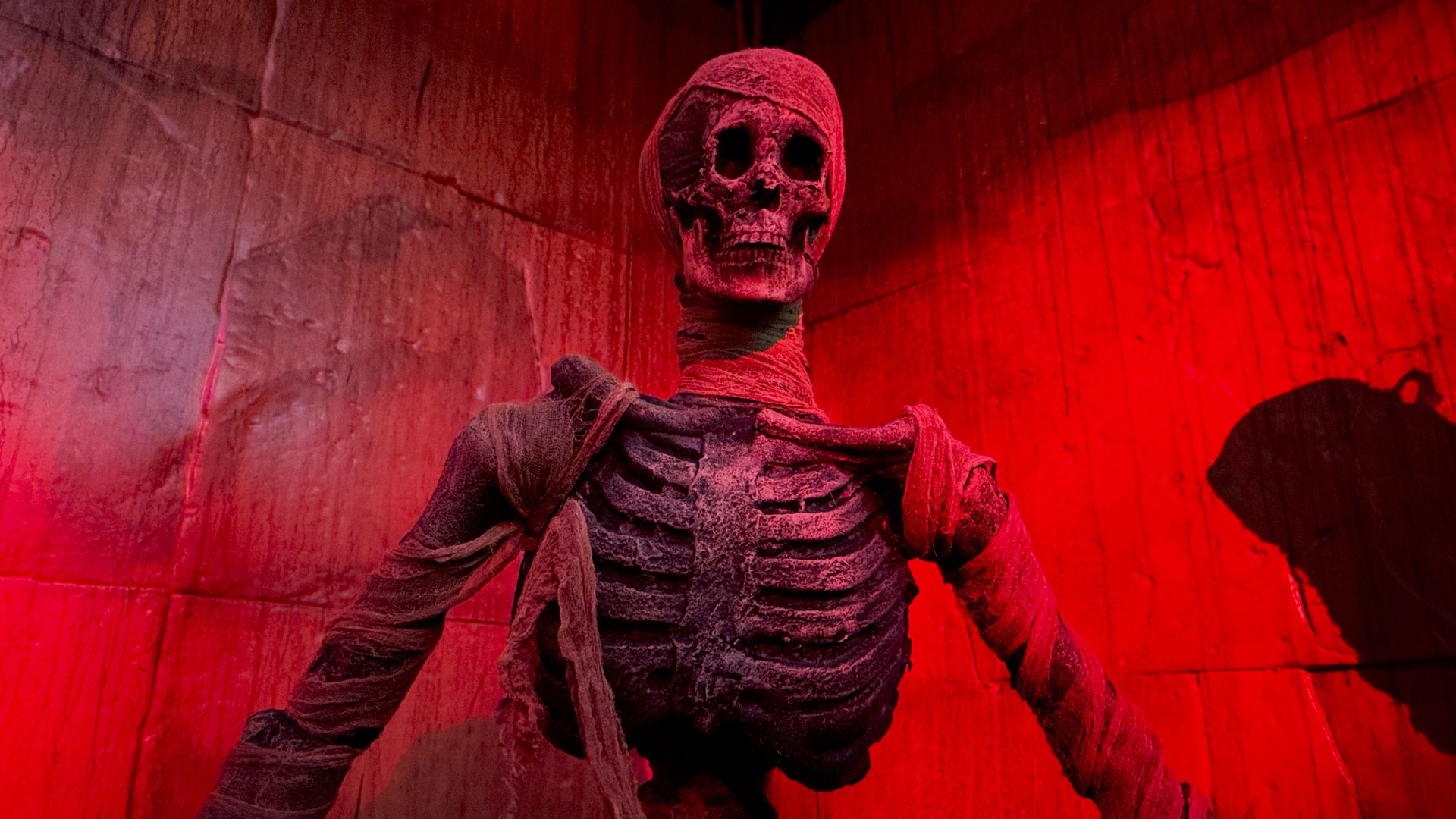 A mummified skeleton at Wicked Haunt Fest in Boston.