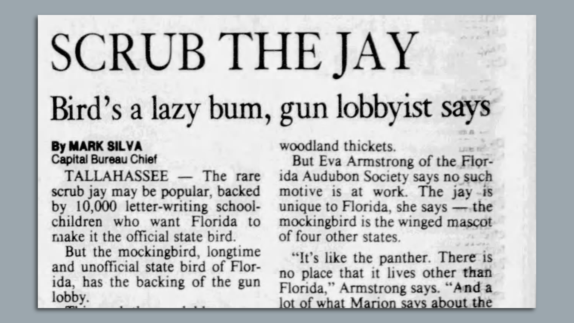 A newspaper clipping with the headline "Scrub the jay" and subheadline of "Bird's a lazy bum, gun lobbyist says."