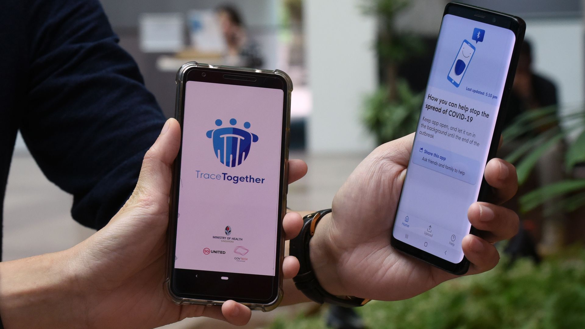 A photo of smartphones displaying Singapore's TraceTogether contact-tracing app