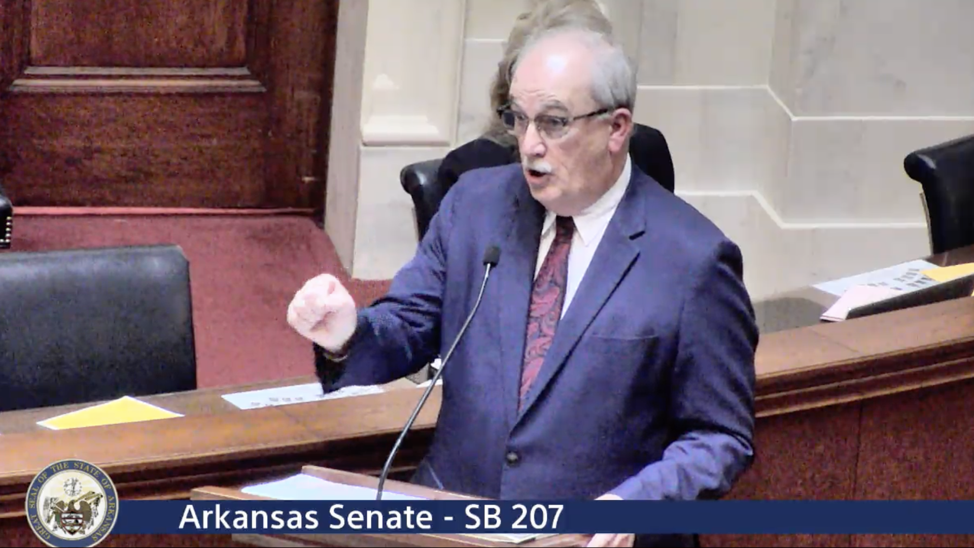 Arkansas Sen. Kim Hammer (R-Benton) presents Senate Bill 207 on the Senate floor. 