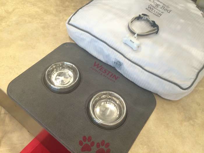 Westin + Humane Society