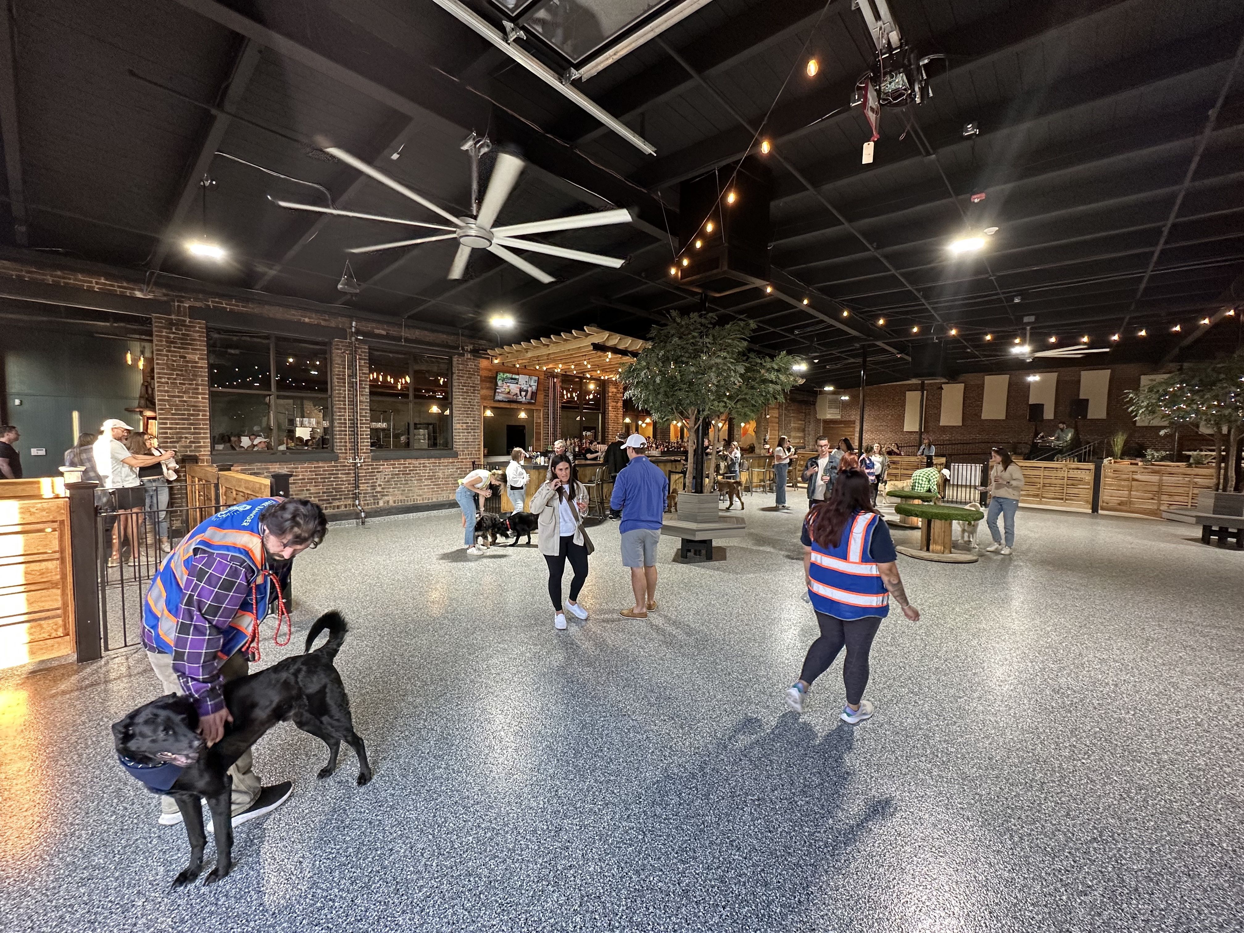 An employee pets one of the dogs in the off-leash area of Park-9 Boston Dog Bar.