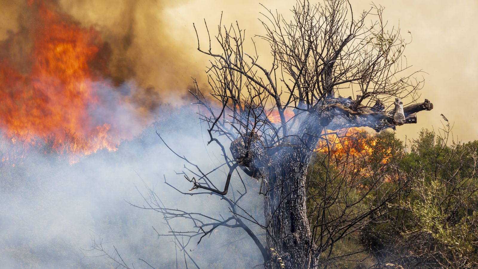 Japan And Australia Notch Hottest Seasons On Record As 2023 Heat