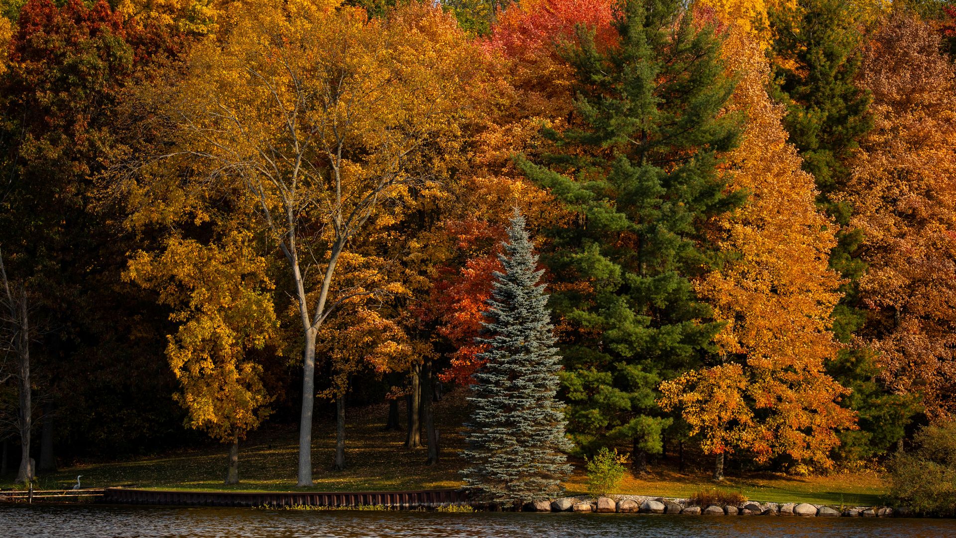 Fall foliage at Lobdell Lake in Genesee County. 