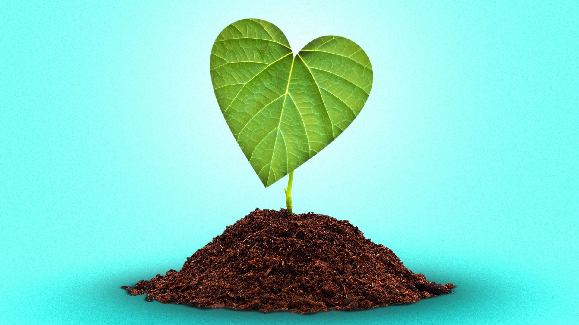 Illustration of a pile of dirt with a heart shaped plant sprouting from it.