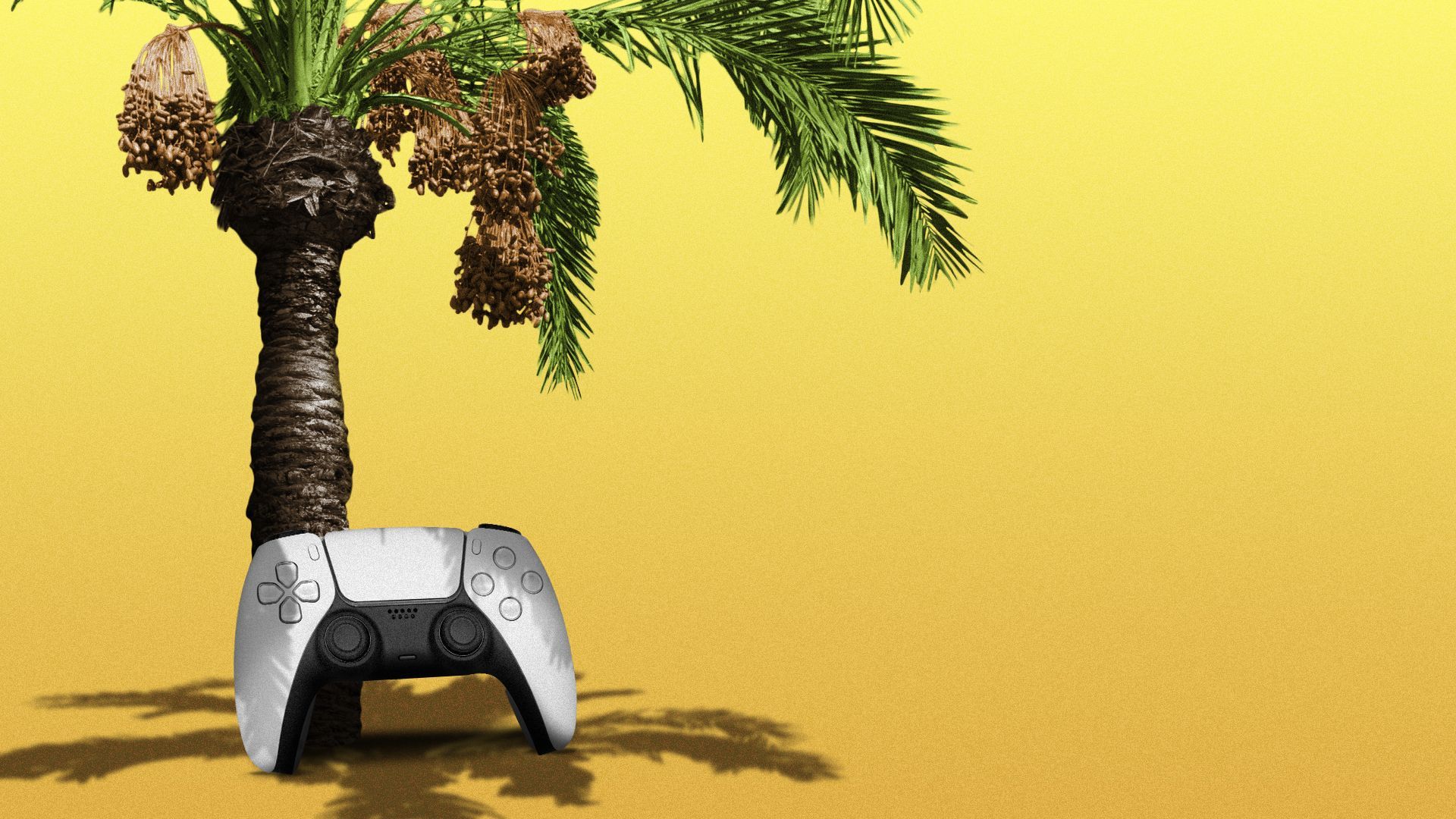 Illustration of a Playstation 5 controller under a date palm tree.
