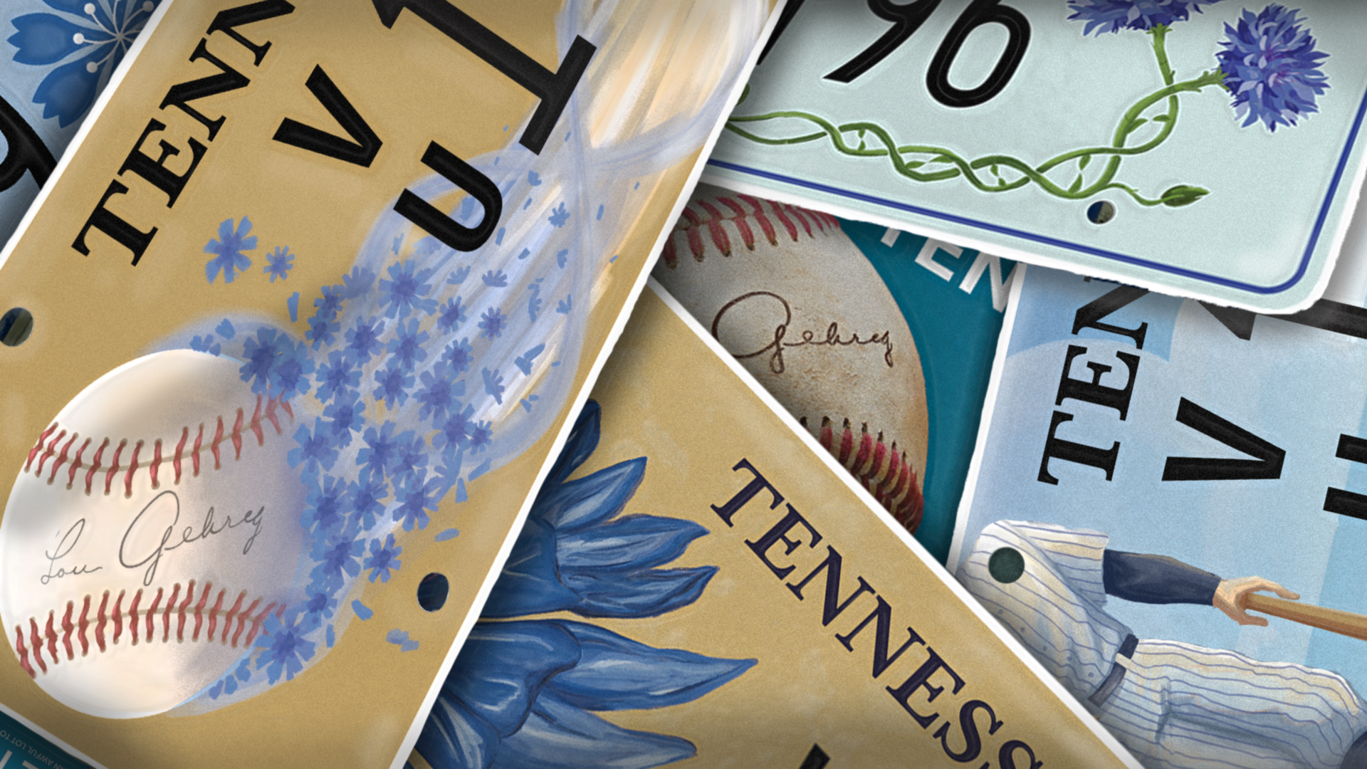 A rendering showing possible designs of the new Tennessee specialty license plates to benefit ALS research at Vanderbilt.