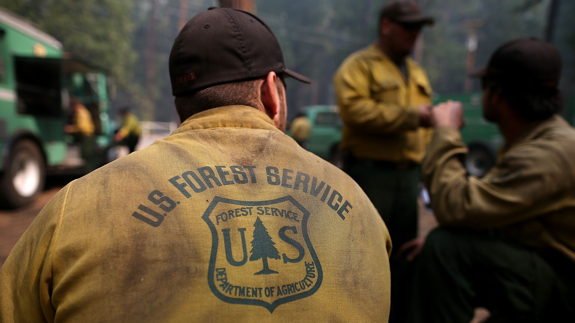Back of a man in a tan U.S. Forest Service jacket and black cap; emblem with a tree and shield on the coat. Several uniformed colleagues and green trucks in a forest setting.