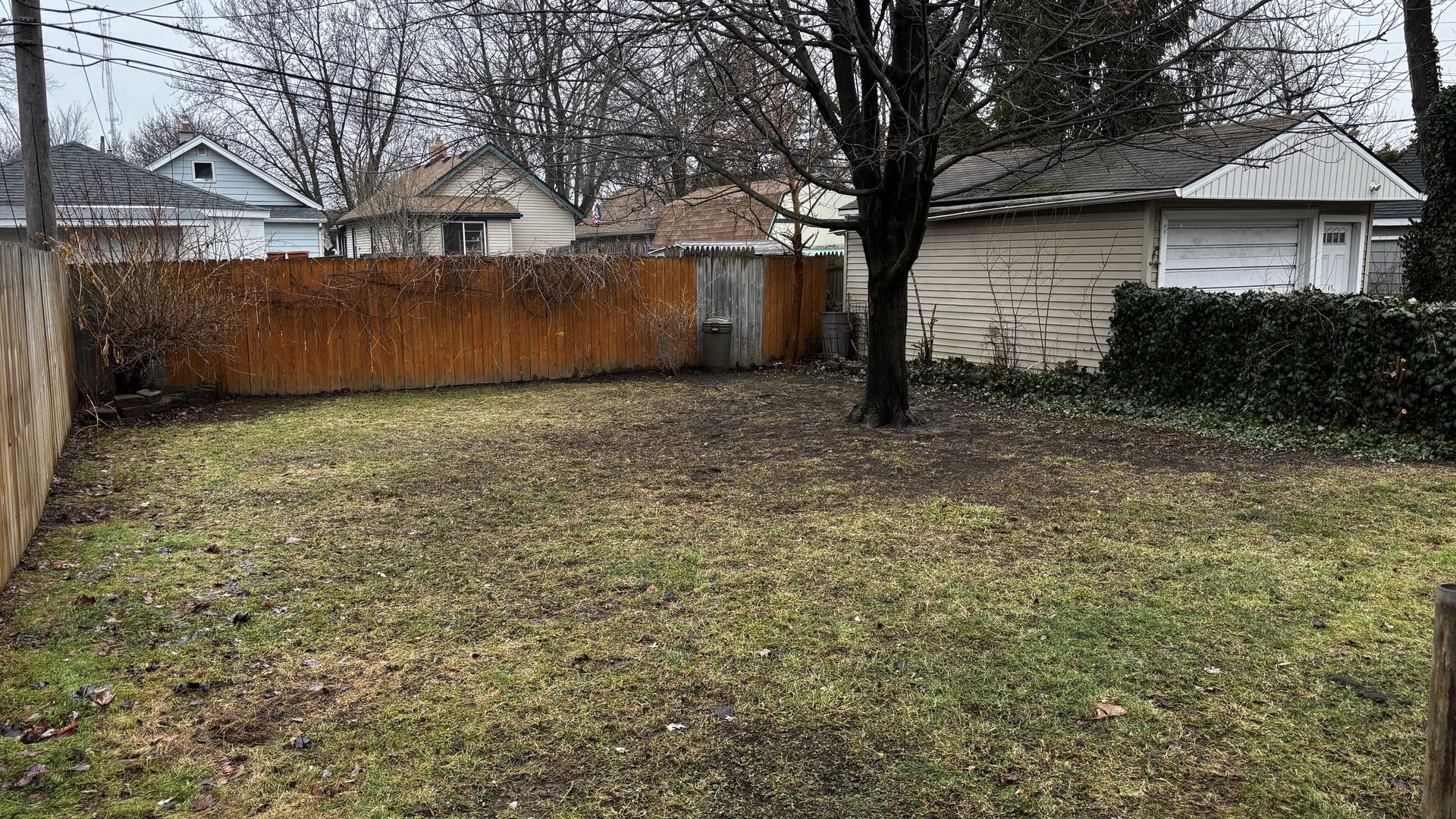 Joe's ugly lawn in January 2026.