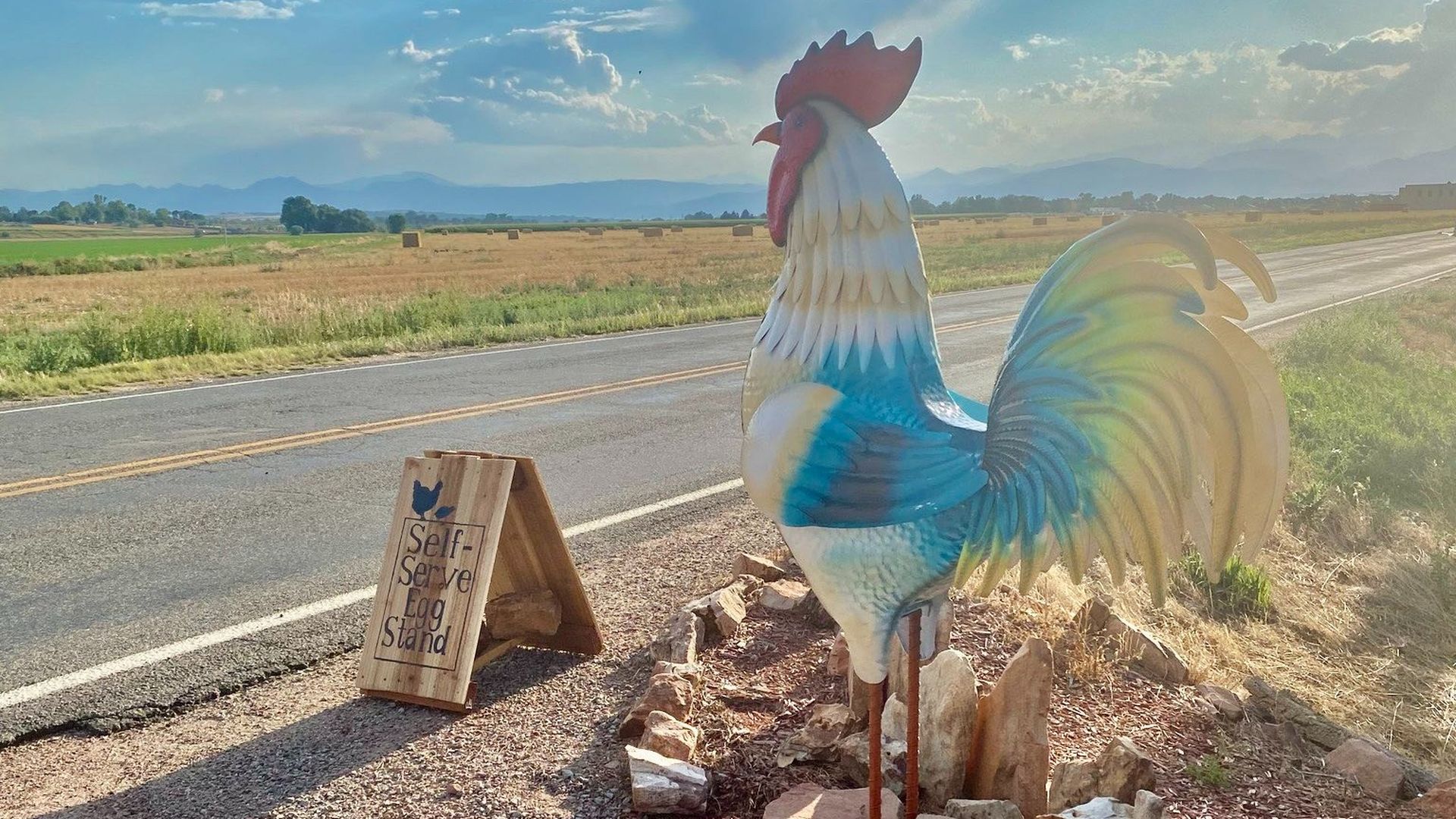Large colorful rooster statue beside a rural road with a wooden sign reading "Self-Serve Egg Stand" on a sunny day with fields and mountains in the background.