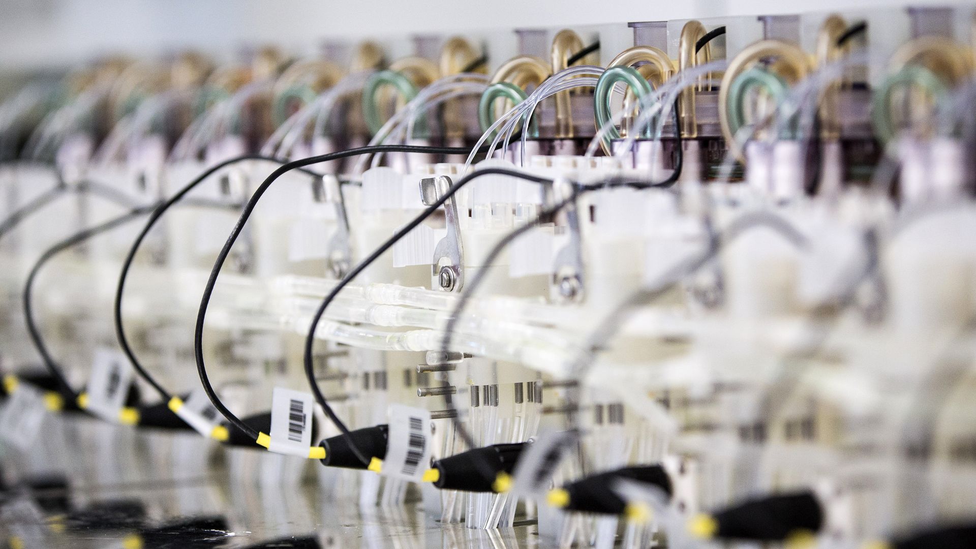 Photo of automated fermenters