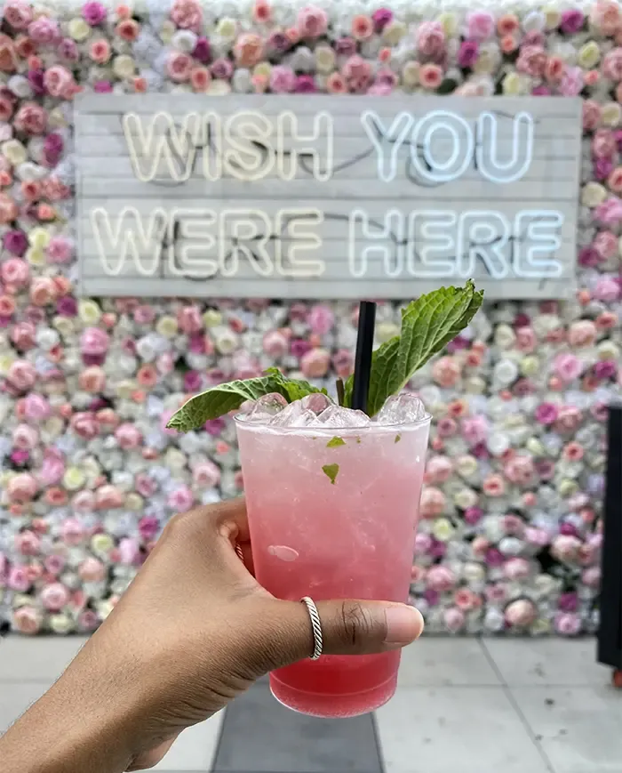 novelty house rooftop