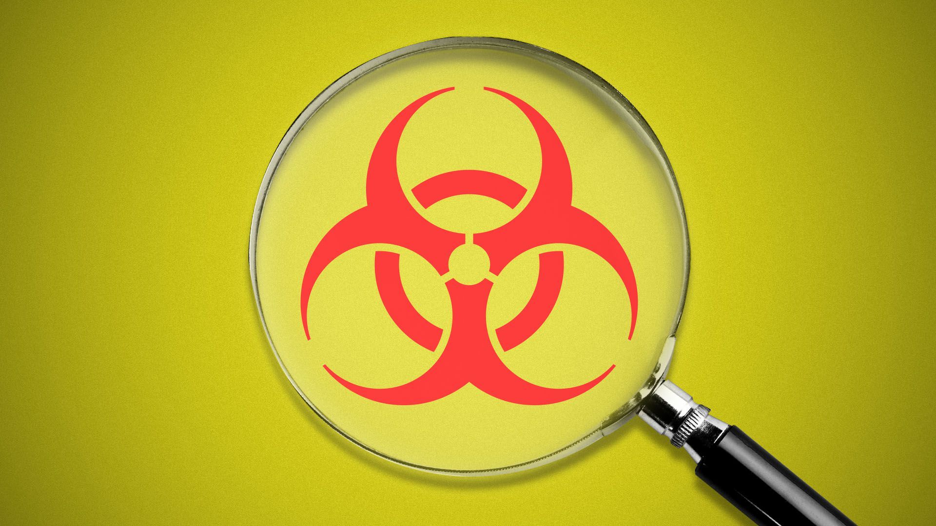 Illustration of a magnifying glass over a biohazard symbol.
