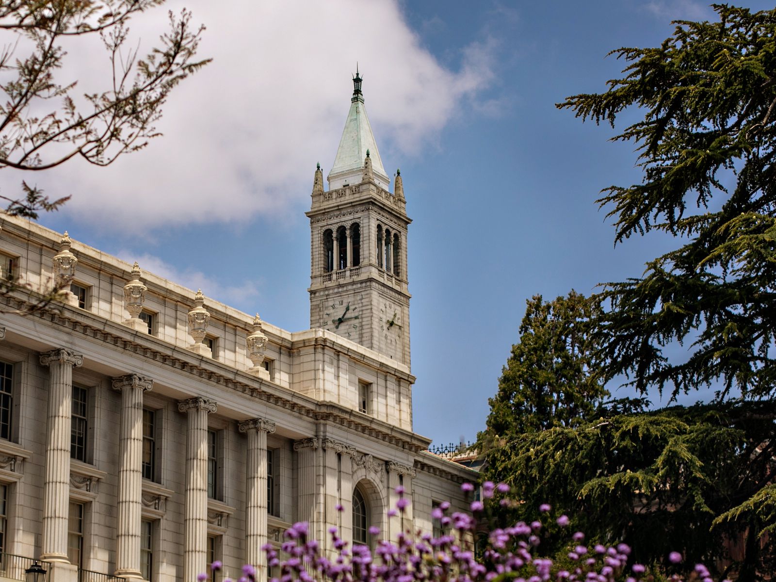 UC Berkeley sued for alleged 