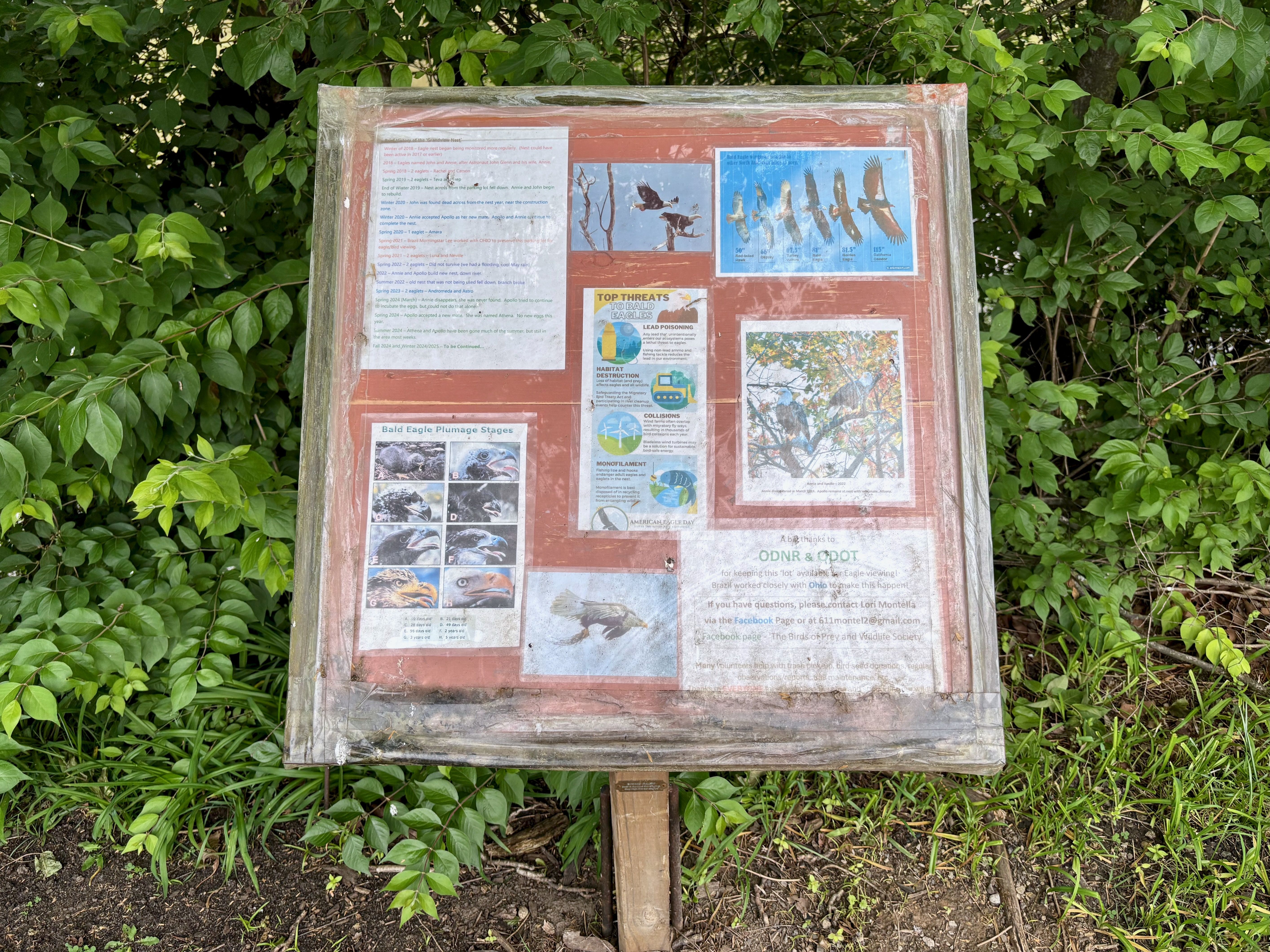 A message board detailing the history of the Columbus eagle nests over the years, threats to eagles, their wingspan and eaglet plumage stages
