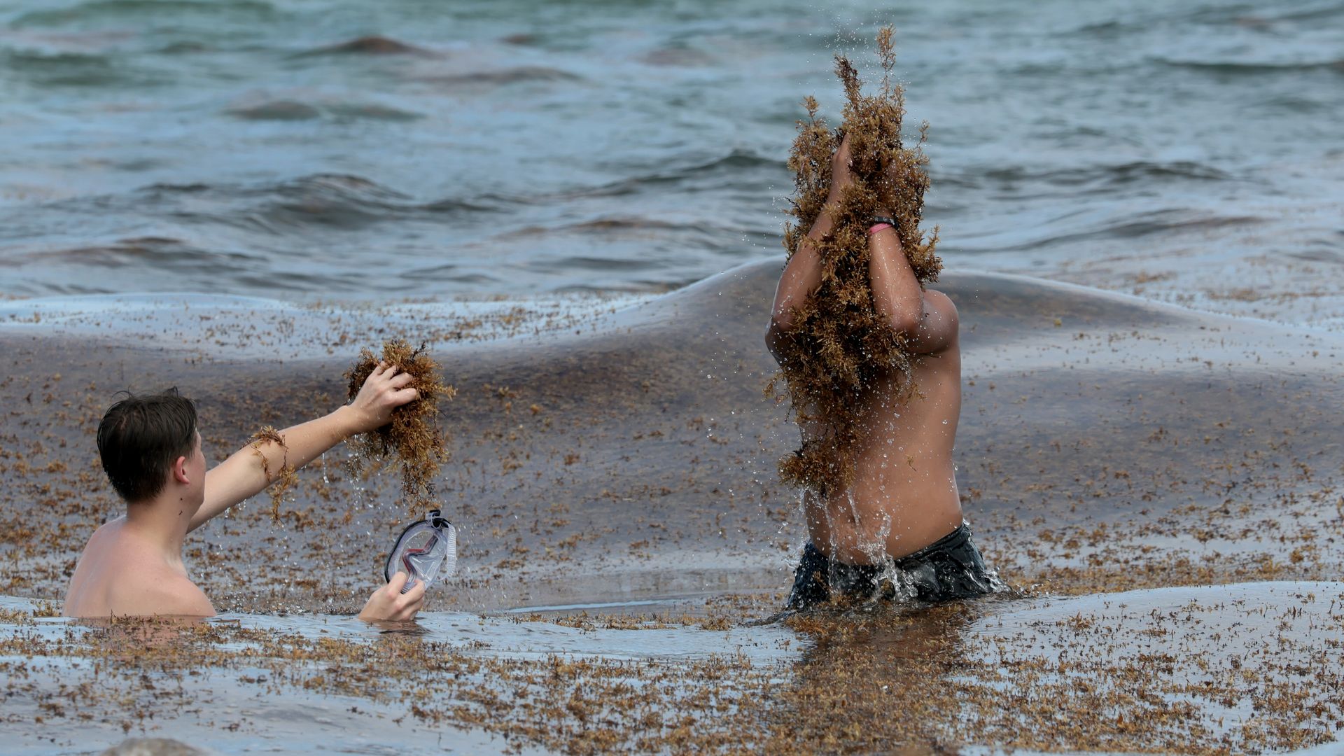 Luis Yanez (L) and Chris Roy visit the beach as brown seaweed washes ashore on June 10, 2026 in Miami Beach, Florida. The brown seaweed, a naturally occurring macroalgae, is inundating South Florida beaches with seasonal blooms, driven by warmer waters and trade winds