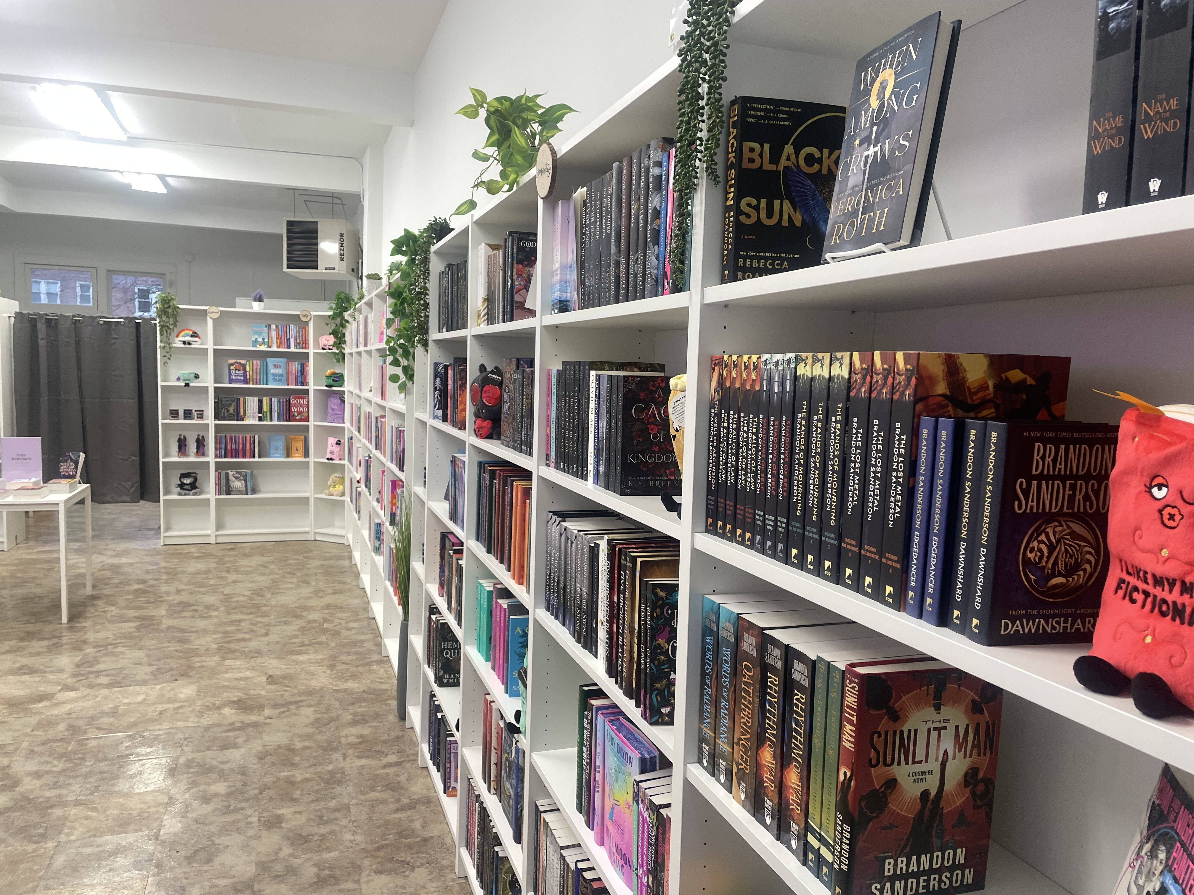 Books on bookshelves in a book store. 