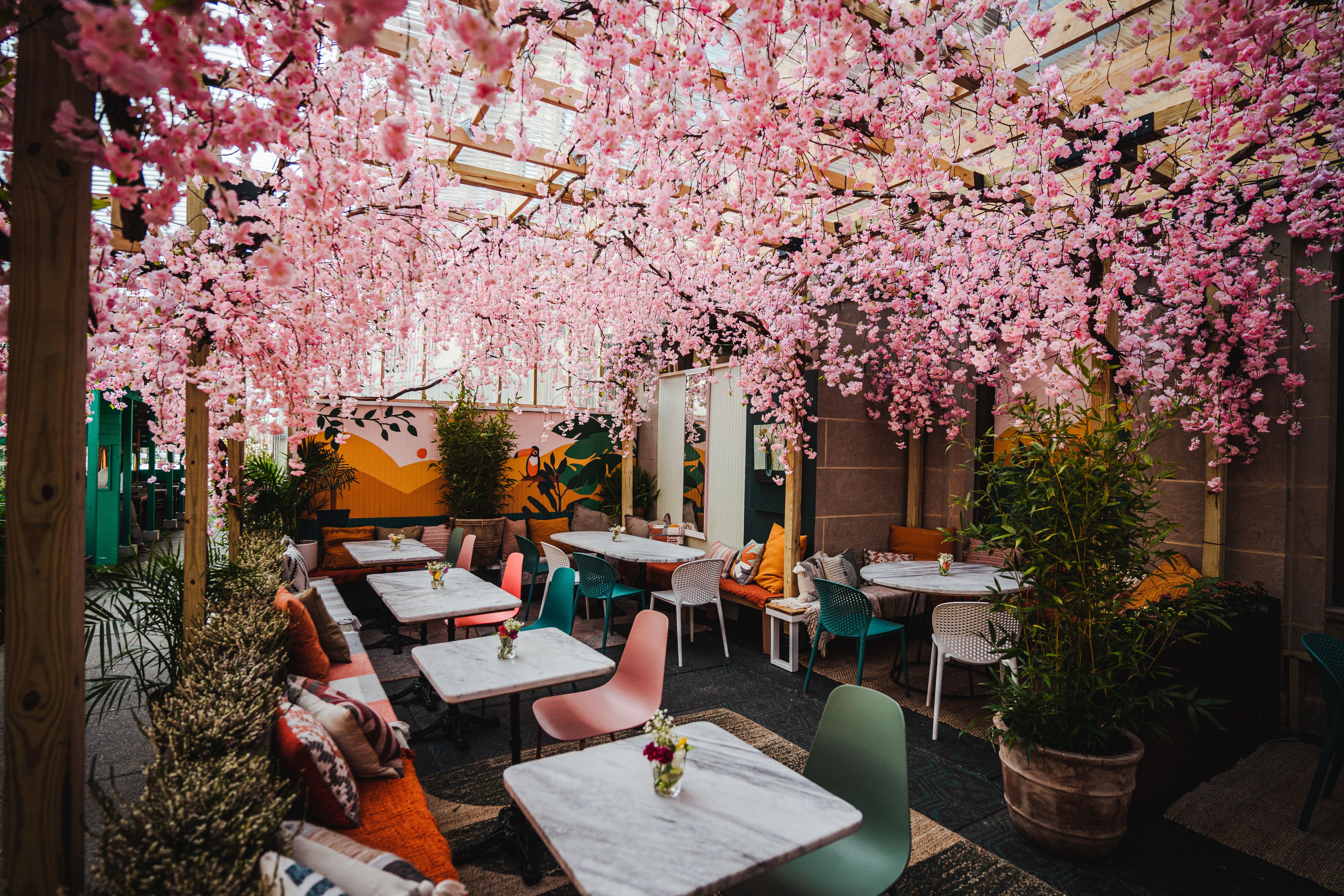 A patio covered in cherry blossoms